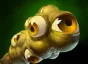ward_observer
