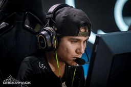 HEN1