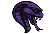 Team Cobra