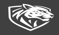 Ilbirs eSports