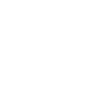 BRUTE