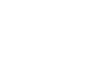 SBTC ESPORTS