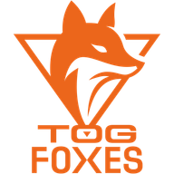 TeamOrangeGaming