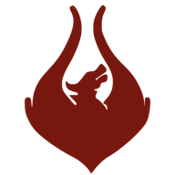 Team Phoenix