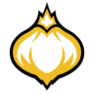 Onion Team
