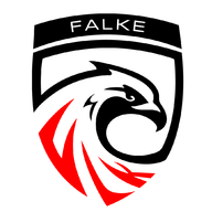 FALKE ESPORTS
