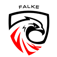 FALKE ESPORTS