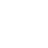 Shark Attack