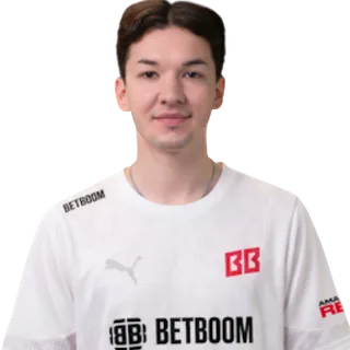 zorte