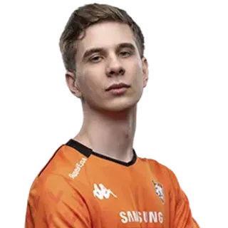 Rein